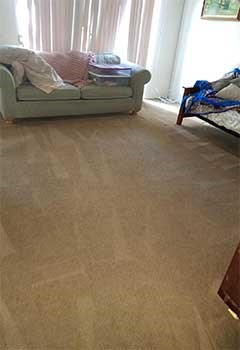 Local Carpet Cleaning Services In Granada Hills