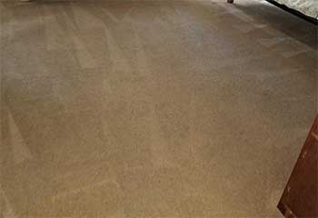 Carpet Cleaner Company | Granada Hills