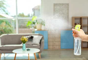 Brief Description of Carpet Shampooing | Granada Hills LA