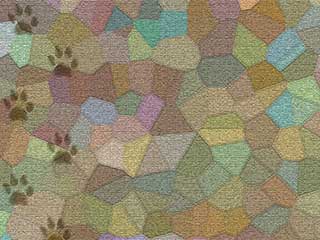 Carpet Stains Give the Wrong Impressions | Granada Hills, LA Carpet Stains Give the Wrong Impressions | Granada Hills, LA