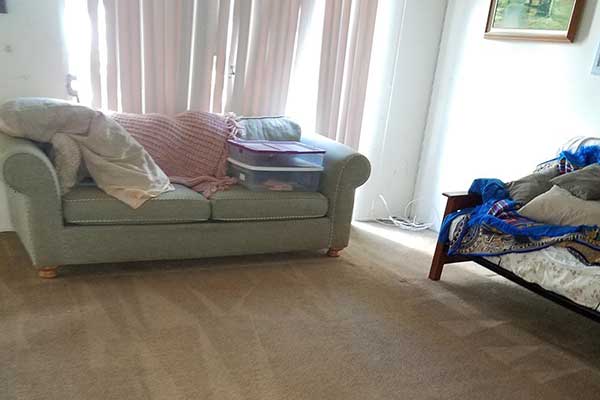 Carpet Cleaning Near Granada Hills | Carpet Cleaning Granada Hills Low Cost Carpet Cleaning Near Granada Hills CA