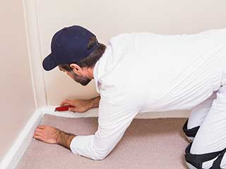 Should I Replace a Moldy Carpet? | Granada Hills Carpet Cleaning Should I Replace a Moldy Carpet? | Granada Hills Carpet Cleaning